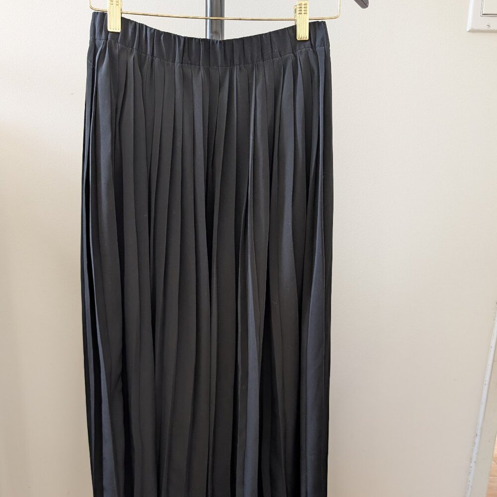 Pleated Black Maxi skirt - Banana Republic
